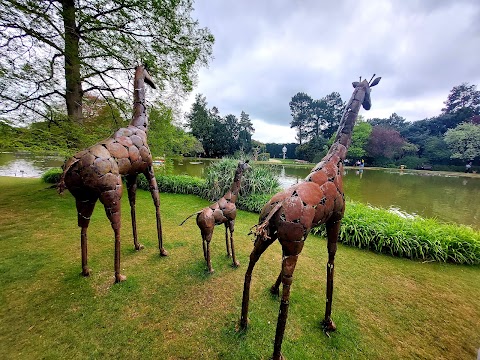 Burnby Hall Gardens