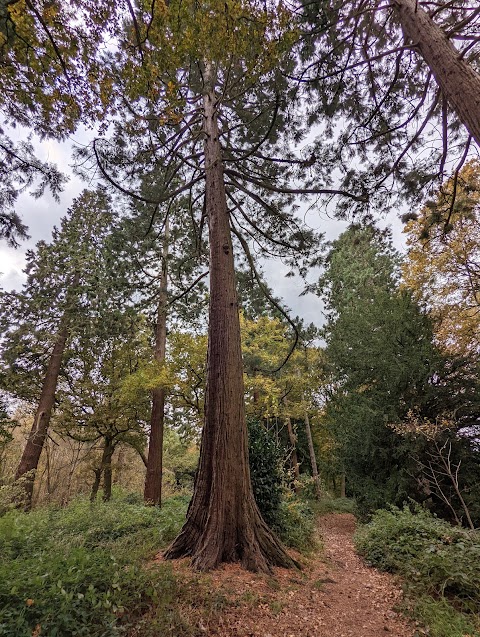 Havering Country Park