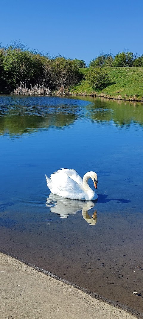 Buckpool and Fens Pool Local Nature Reserve