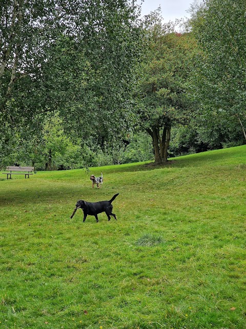 Cheetham Park