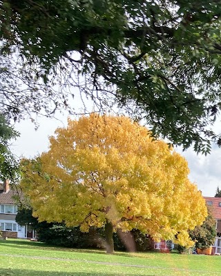 Lake Farm Park Academy