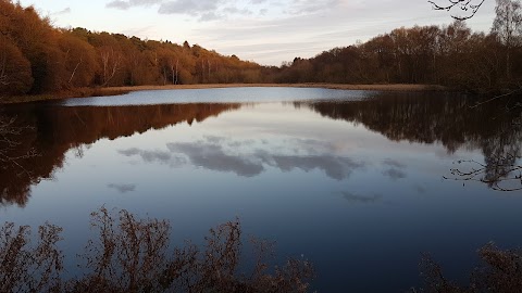 Hurcott Pool & Wood