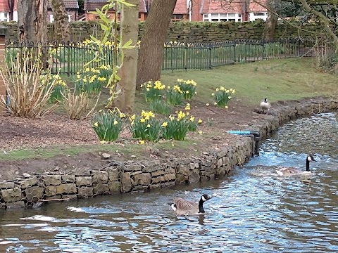 Foxdenton Park