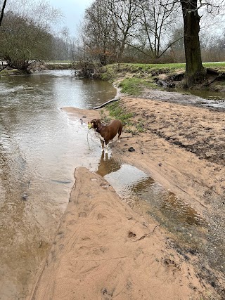 Styal Park Beach