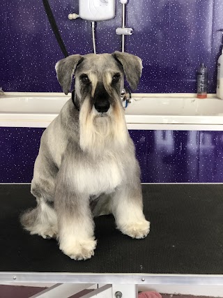 Million-Fur Dog Grooming