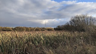 Possil Marsh