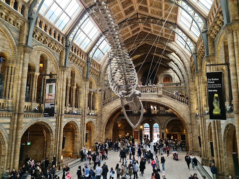 Natural History Museum