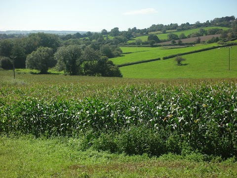 Withy Mills Farm