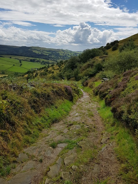 Tegg's Nose Country Park