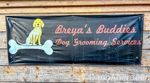 Breya's Buddies Dog Grooming Services