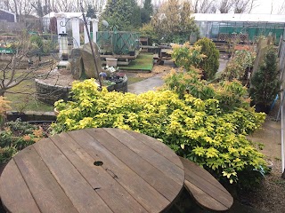 Primrose Hill Cafe Within Primrose Hill Nurseries