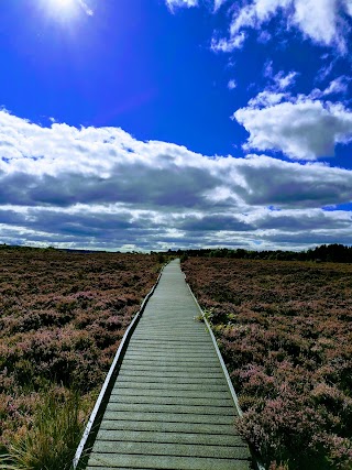 Langlands Moss Local Nature Reserve