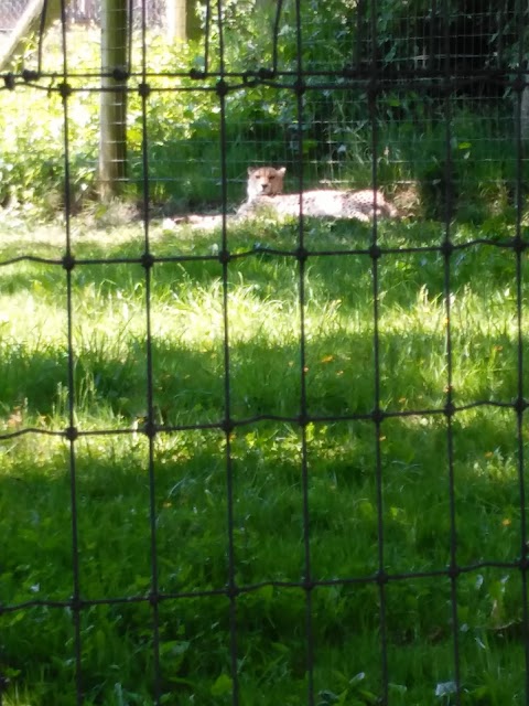 Marwell Zoo Science & Learning Centre