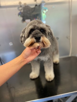 Poochies and Cream Dog Grooming