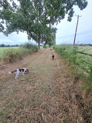 Ashcroft Cottage dog day care