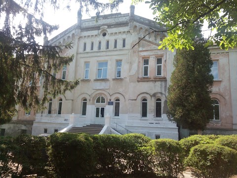 Palace Skarbek