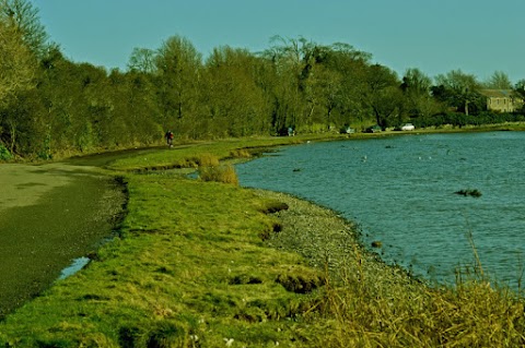 Broadmeadow Estuary