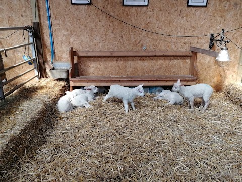 Church Farm Tea Rooms & Childrens Farm