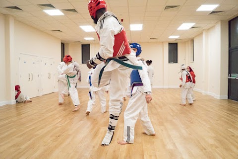Peak Performance Taekwondo Academy - Olympic Martial arts centre