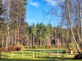 Sherwood Pines Camping