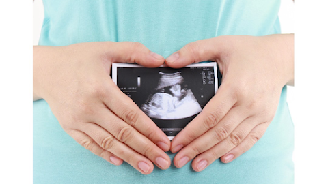 Window to the Womb Reading