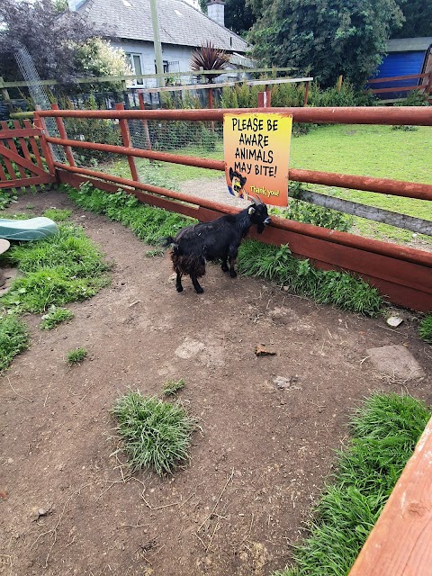 Little Al's Urban Farm