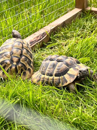 Doncaster Small Animal Boarding