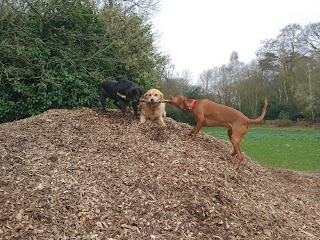 Cherry Tree Kennels & Cattery