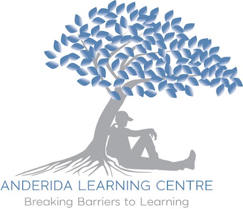 Anderida Adolescent Care