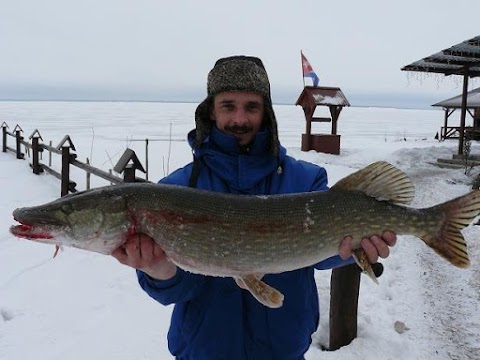 РЫБАЛКА ПОД КЛЮЧ - ДЕРЕВНЯ РЫБАКА НА КИЕВСКОМ МОРЕ - лучшая бесплатная фартовая рыбалка под Киевом в Киеве в Страхолесье в Сорокошичах на Днепре на Десне на Роси на Припяти на озере на Тетереве фидер джиг троллинг - флагман рыбацкий рай