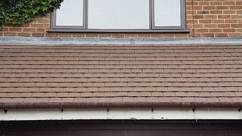 Sale Exterior Cleaning Co.