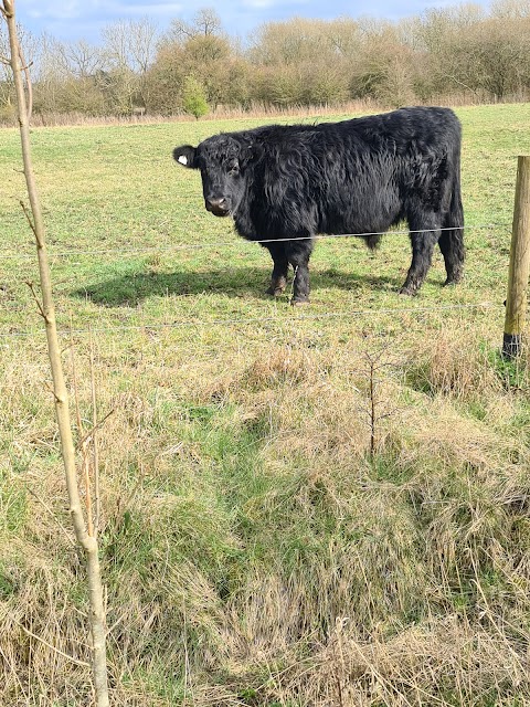 LRWT Cossington Meadows