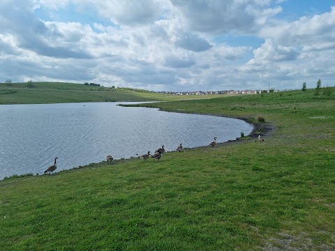 Waverley Lakes & Park