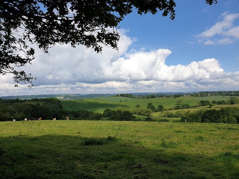 National Trust - Downs Banks