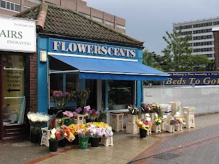 Flower Scents Florist