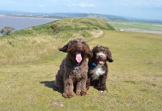 Waggers Pack - Dog Walkers