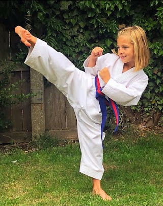 Train Taekwondo Schools - Beverley