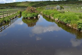 Doonies Rare Breeds Farm