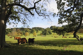 The Amberley Inn