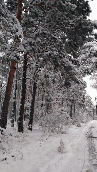 Парк Бджілки