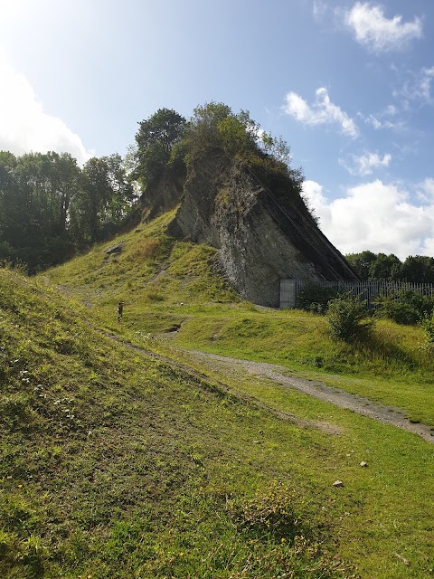 Wren's Nest