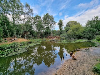 Warsash Common