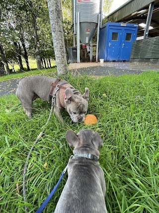 Trudder Dog Boarding and Kennels