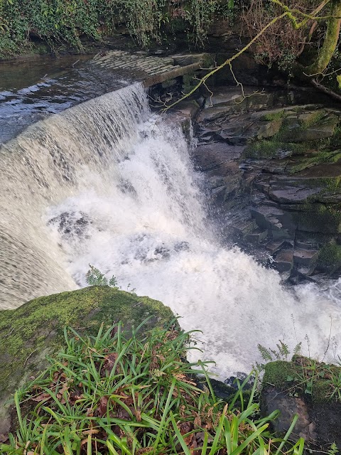 Longford Waterfall | Y Cwm