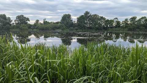 Freeth Mere SSSI nature reserve