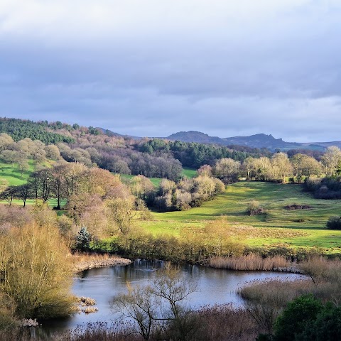 Brough Park