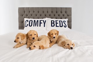 Comfy Beds