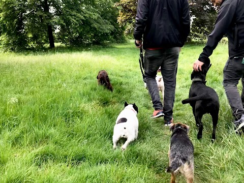 VolPets London Professional dog walker & trainer