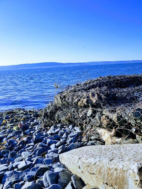 Ruddy Duck Fish House