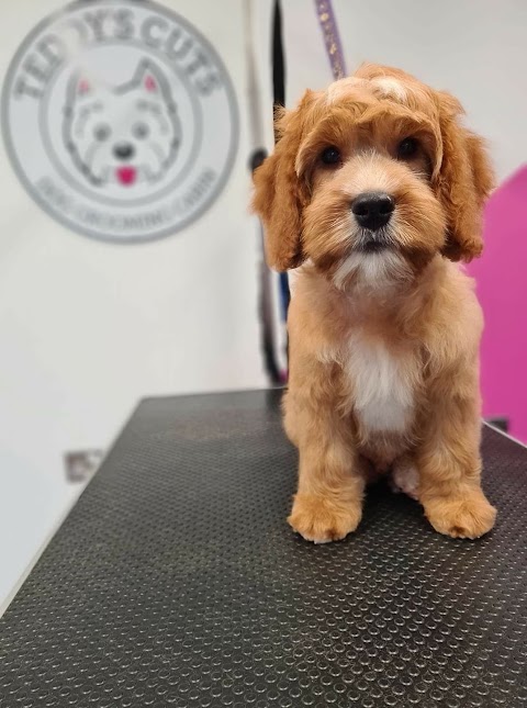 Teddy's Cuts Dog Grooming Cabin